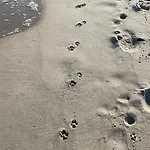 Bialy 公寓 库瑞尼卡慕斯卡
