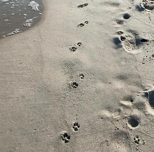 Bialy Апартаменты Крыница-Морска