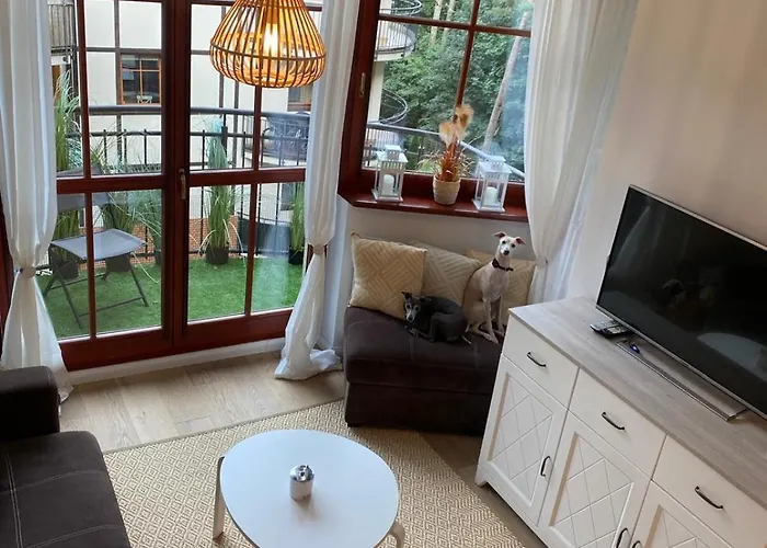 Bialy Апартаменты