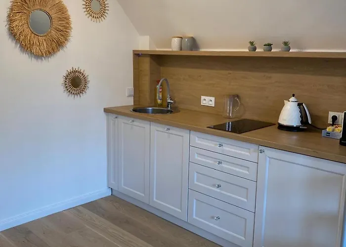 Bialy Апартаменты *